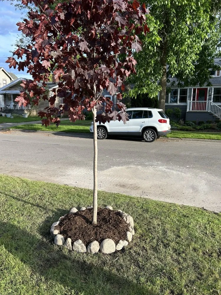 Affordable yard maintenance in Southfield, MI - Marigold Hardscape and Design