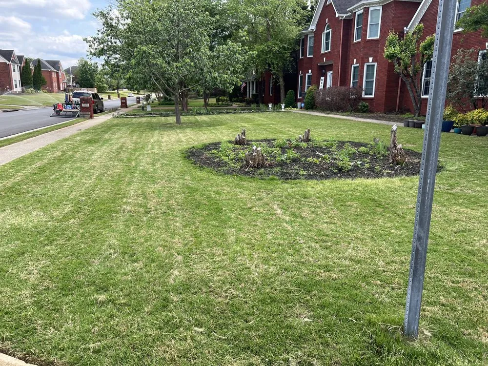 Top-rated residential landscaping in Madison, AL by MariMows