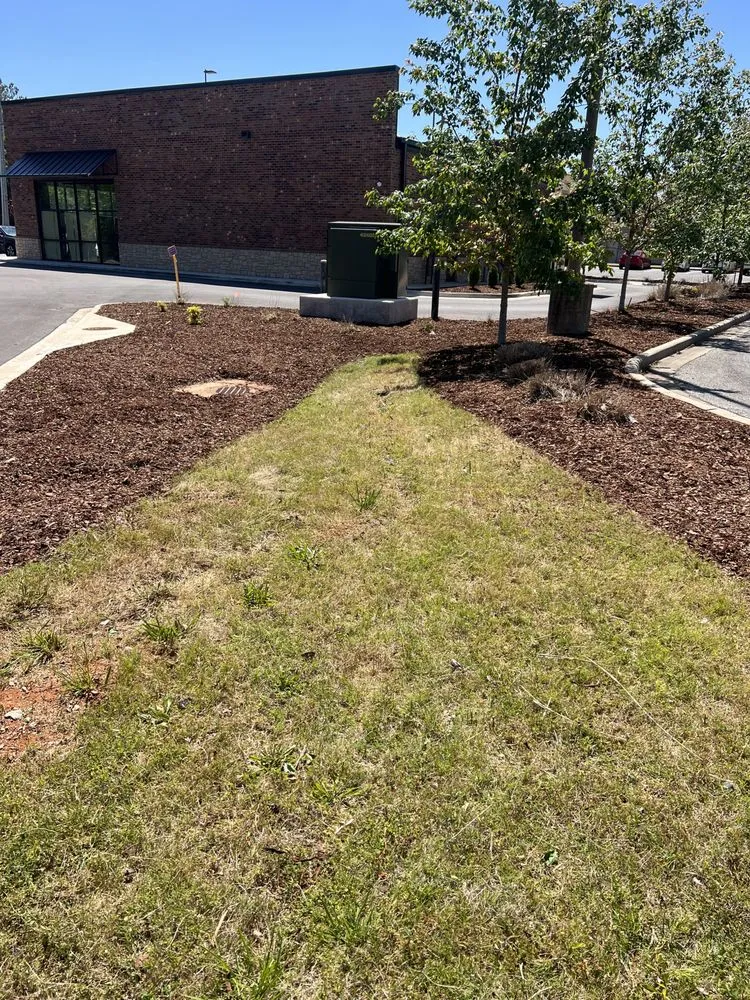 Trusted yard cleanup service in Madison, AL by MariMows