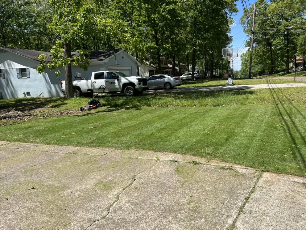 Reliable landscape installation for residential properties across Madison, AL - MariMows