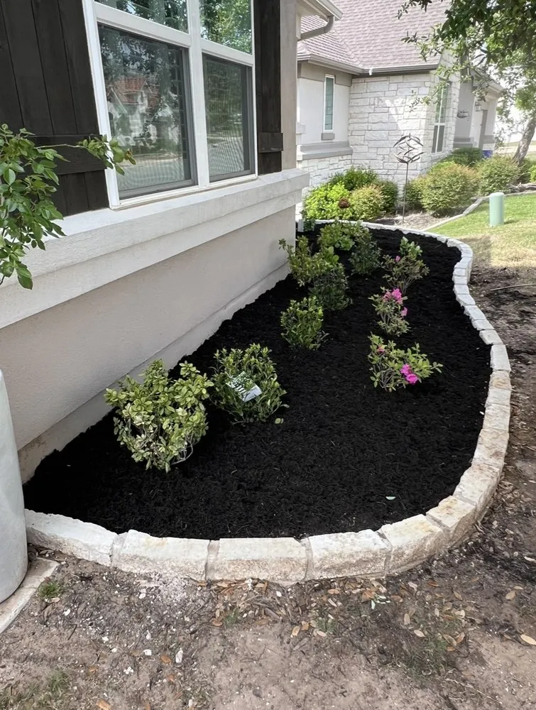 Local lawn care service in Austin, TX by Marin Construction