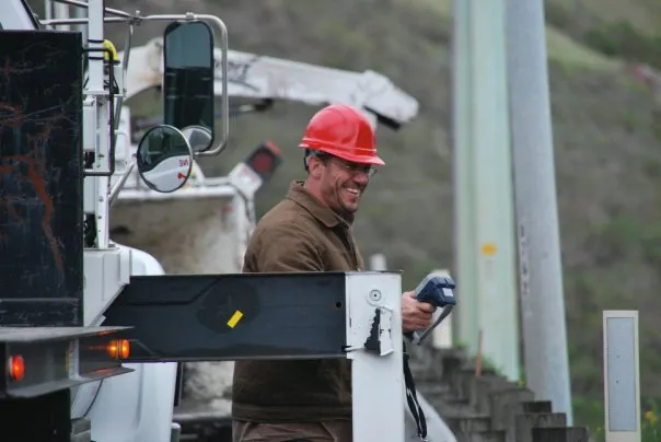 Professional yard cleanup service in San Rafael, CA - Marin County Arborists