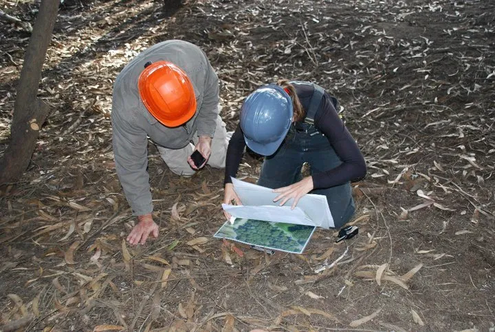 Local landscape design in San Rafael, CA - Marin County Arborists