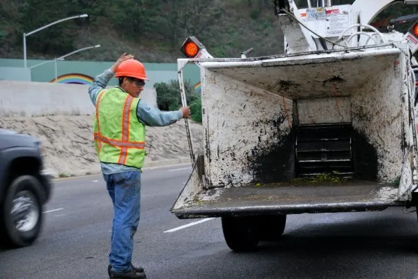 Top-rated garden landscaping in San Rafael, CA - Marin County Arborists