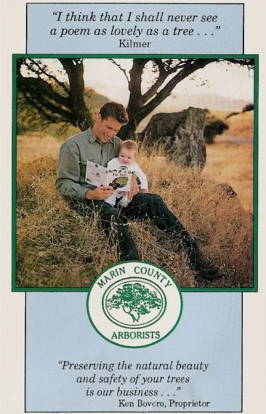 Top-rated landscaping services with custom design in San Rafael, CA by Marin County Arborists