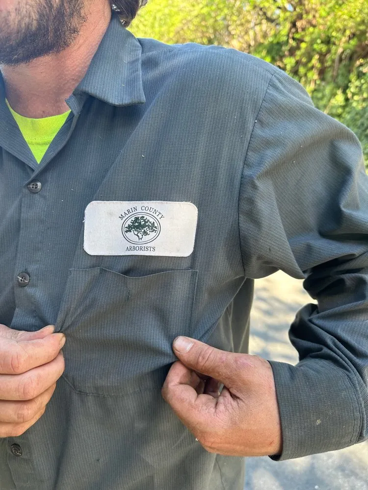Professional garden landscaping experts serving San Rafael, CA - Marin County Arborists
