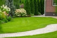 Top-rated lawn mowing service experts serving La Grange, TX - Marin Family Lawn Care