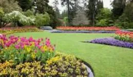 Local outdoor landscaping for beautiful yards in La Grange, TX by Marin Family Lawn Care