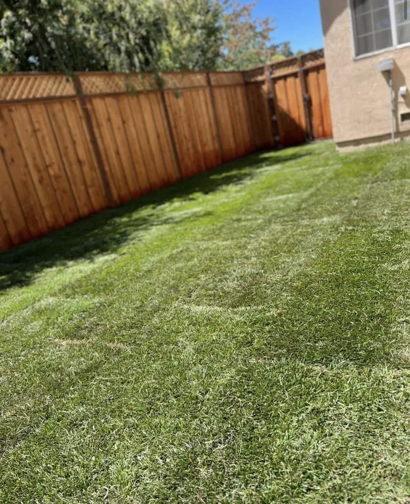 Local lawn mowing service experts serving Novato, CA - Marin Landscape & Hardscape Construction