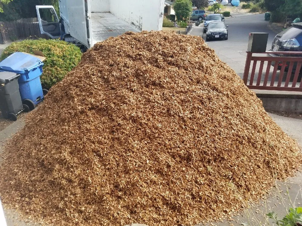 Professional outdoor landscaping in Novato, CA - Marin Landscape Materials