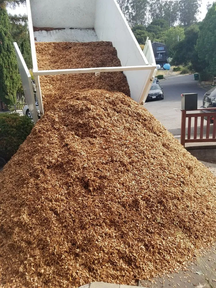 Professional yard cleanup service for residential properties in Novato, CA by Marin Landscape Materials