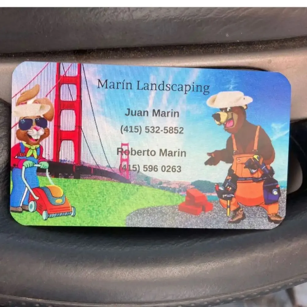 Affordable lawn care service in San Rafael, CA by Marin Landscape