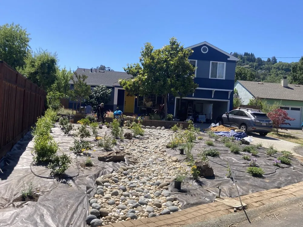 Professional outdoor landscaping in San Rafael, CA - Marin Landscape