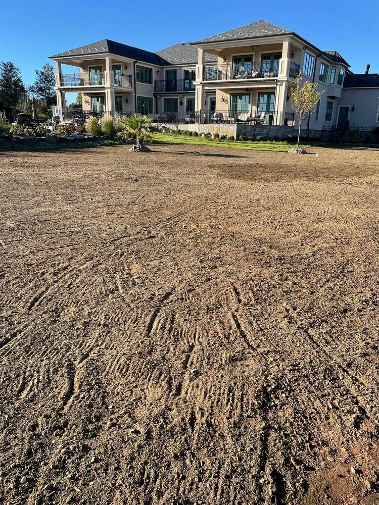 Reliable yard cleanup service in Freehold, NJ by Marin Landscaping and Tree Service