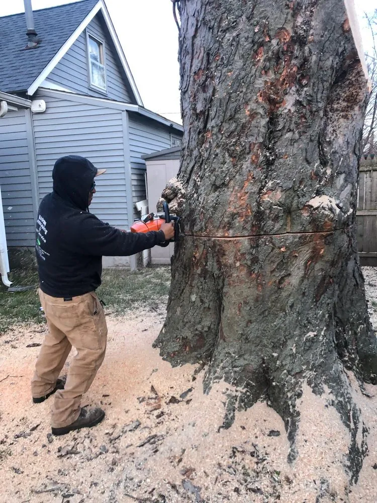 Trusted residential landscaping experts serving Freehold, NJ - Marin Landscaping and Tree Service