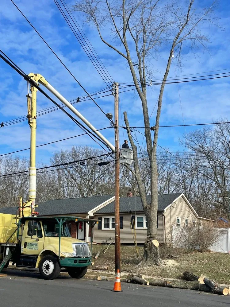 Affordable outdoor landscaping with custom design across Freehold, NJ - Marin Landscaping and Tree Service