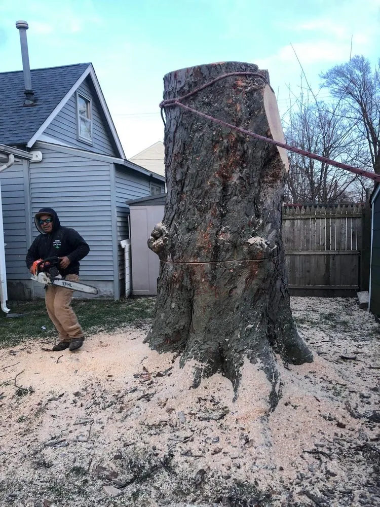 Affordable yard maintenance for homes in Freehold, NJ by Marin Landscaping and Tree Service