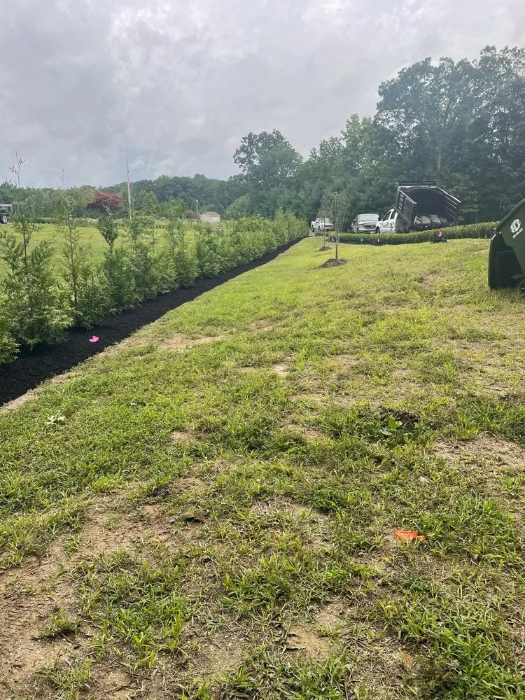 Top-rated lawn care service experts serving Freehold, NJ - Marin Landscaping and Tree Service