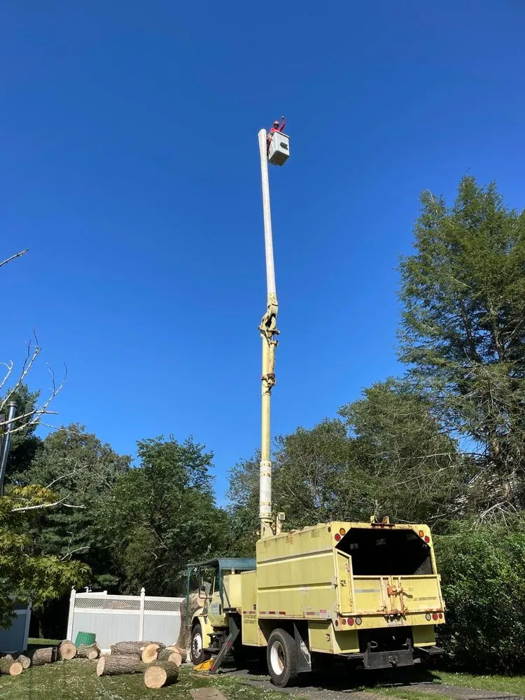 Top-rated landscape installation in Freehold, NJ by Marin Landscaping and Tree Service