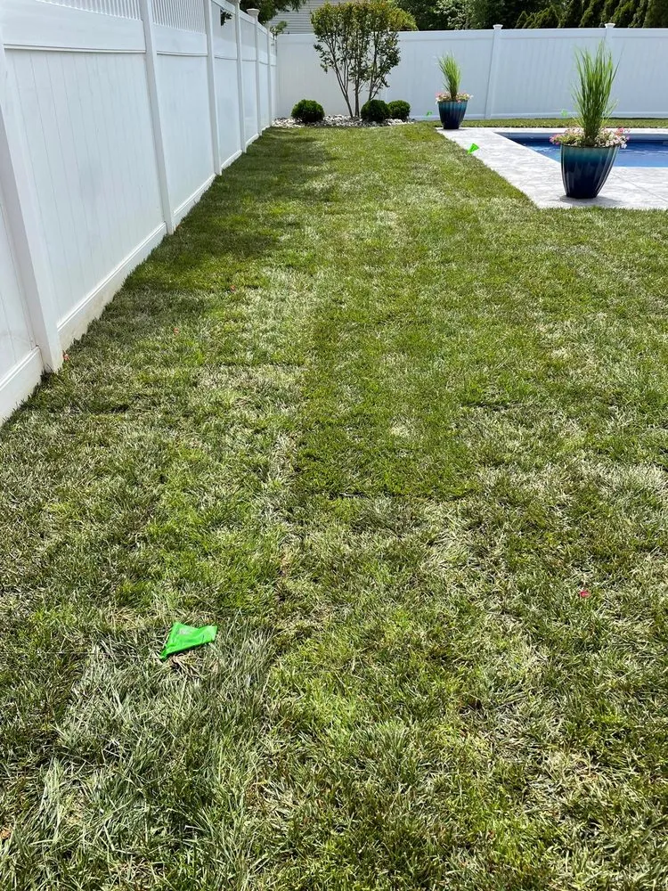 Expert outdoor landscaping with custom design in Freehold, NJ by Marin Landscaping and Tree Service