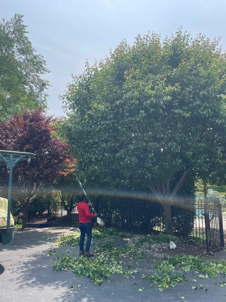 Reliable landscaping services for outdoor upgrades across Freehold, NJ - Marin Landscaping and Tree Service