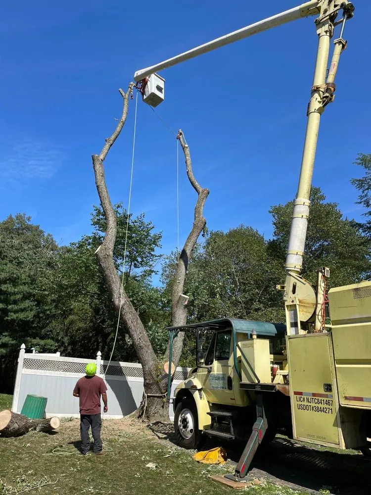 Trusted outdoor landscaping in Freehold, NJ - Marin Landscaping and Tree Service