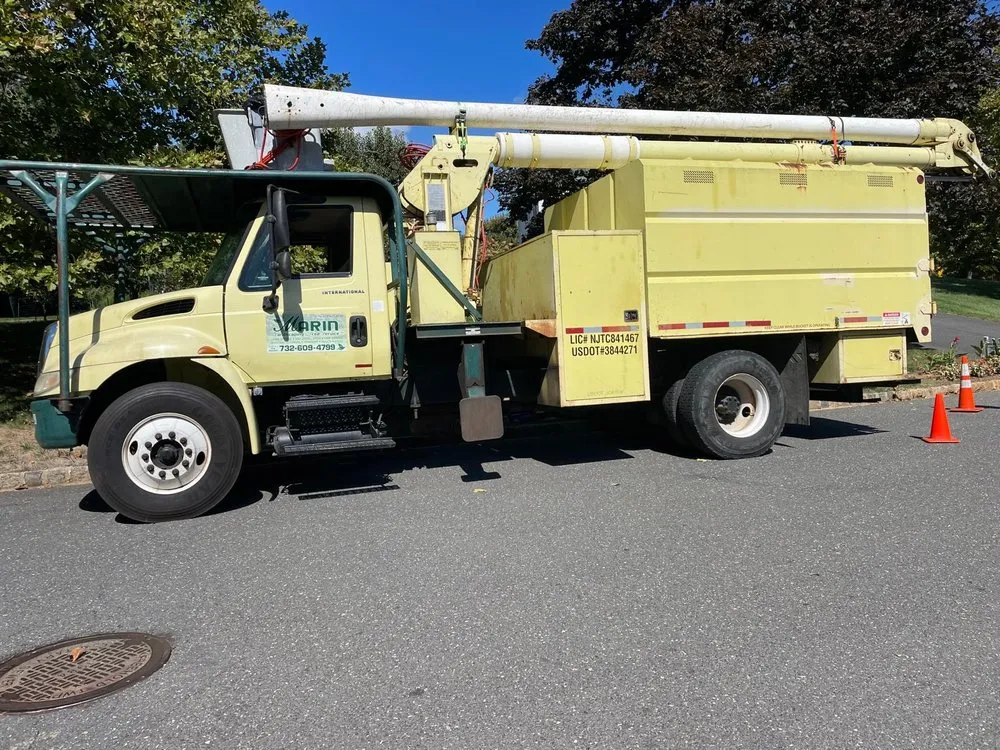 Affordable landscape installation in Freehold, NJ - Marin Landscaping and Tree Service