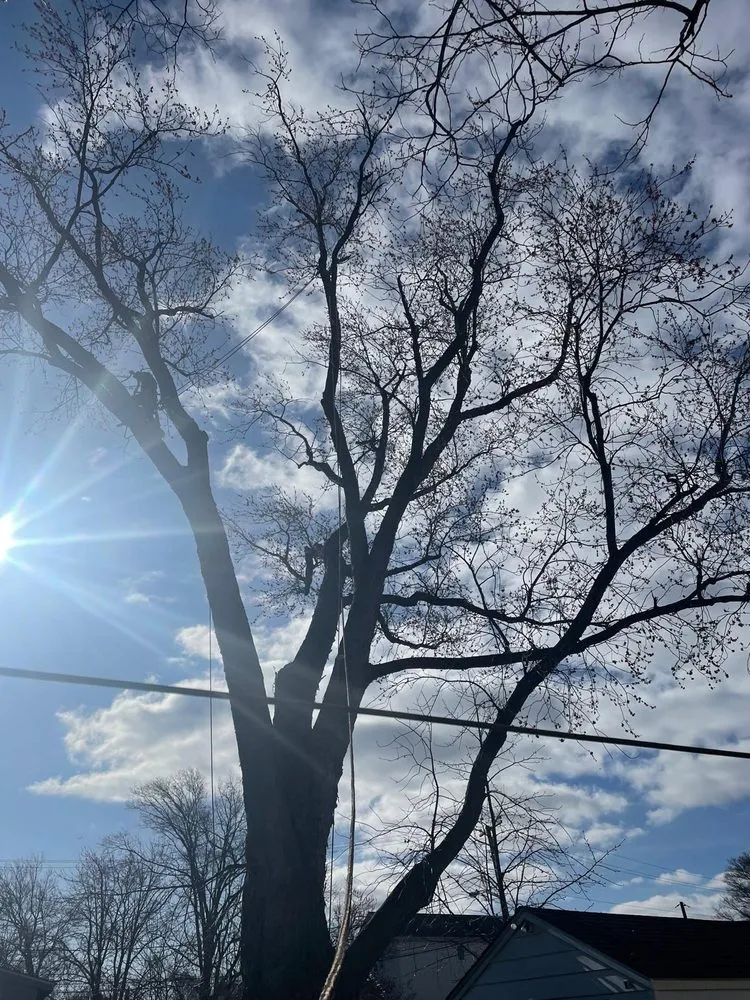 Expert outdoor landscaping in Freehold, NJ by Marin Landscaping and Tree Service