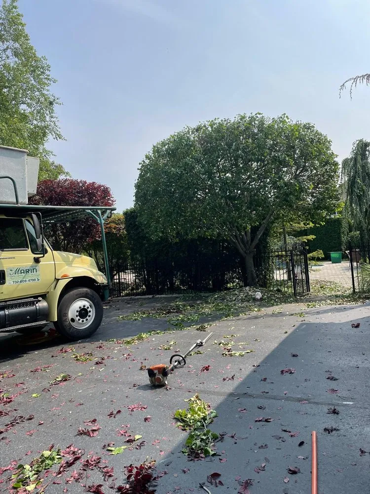 Custom lawn care service experts serving Freehold, NJ - Marin Landscaping and Tree Service
