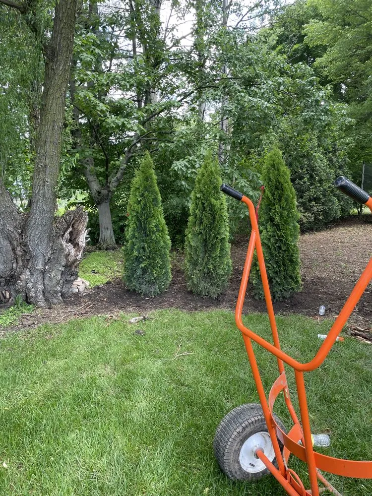 Top-rated yard maintenance near you across Carpentersville, IL - Marin Landscaping