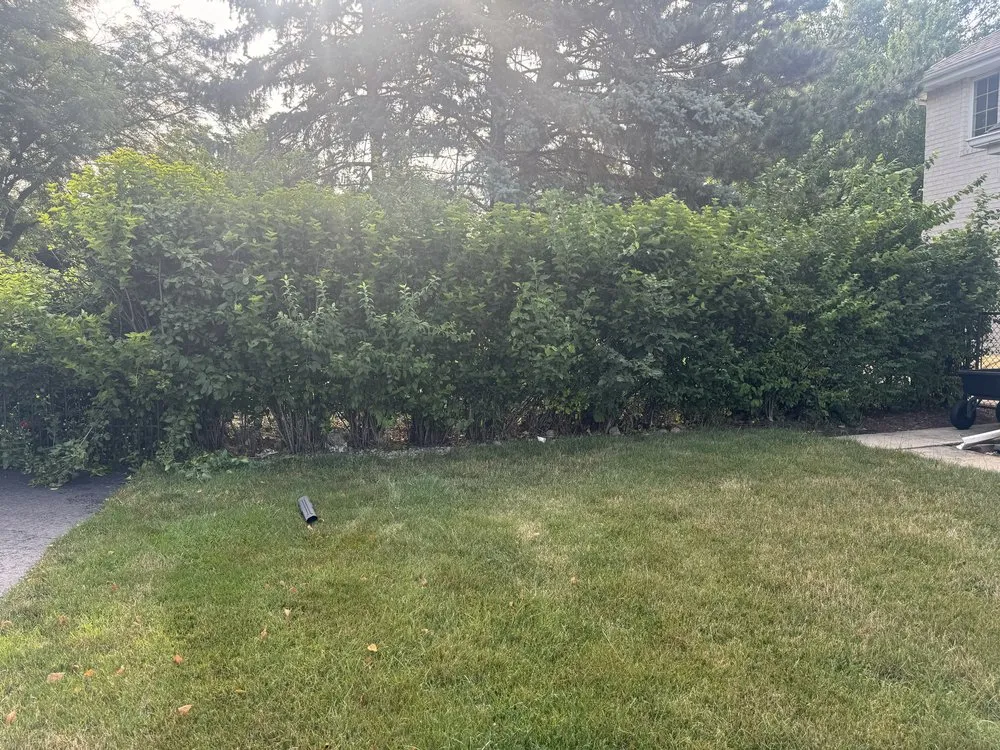 Affordable residential landscaping experts serving Palos Heights, IL - Marin Lawn Care