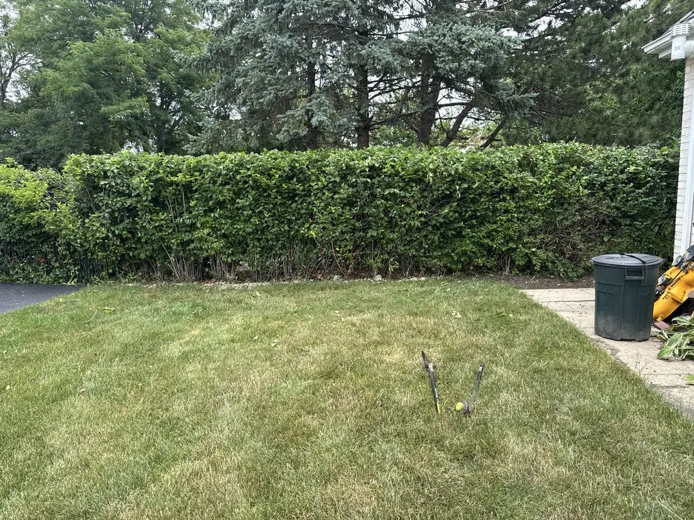 Affordable lawn mowing service with custom design in Palos Heights, IL by Marin Lawn Care