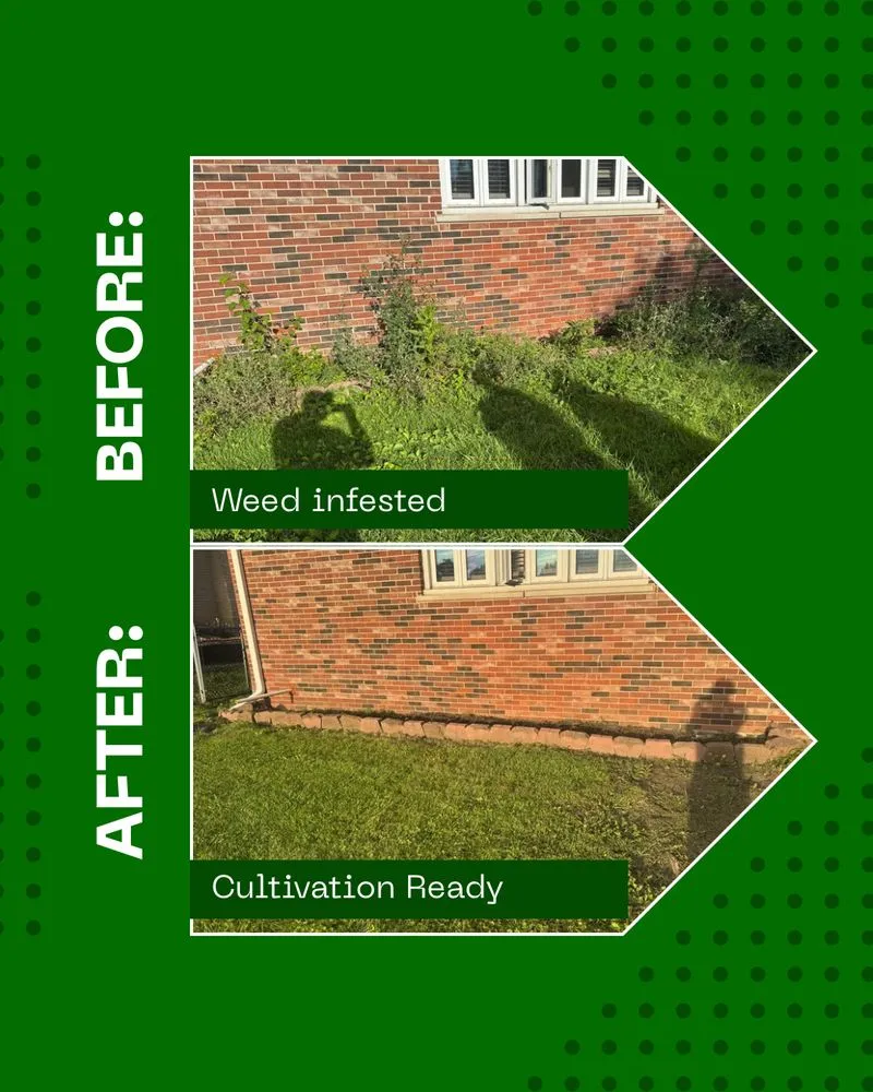 Local landscaping services in Palos Heights, IL by Marin Lawn Care