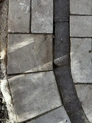 Marin Property Services