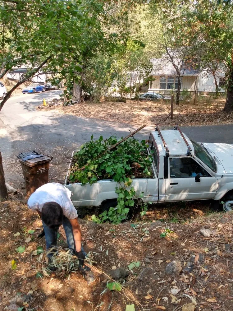 Expert yard cleanup service in Fairfax, CA by Marin Teen Yard Work