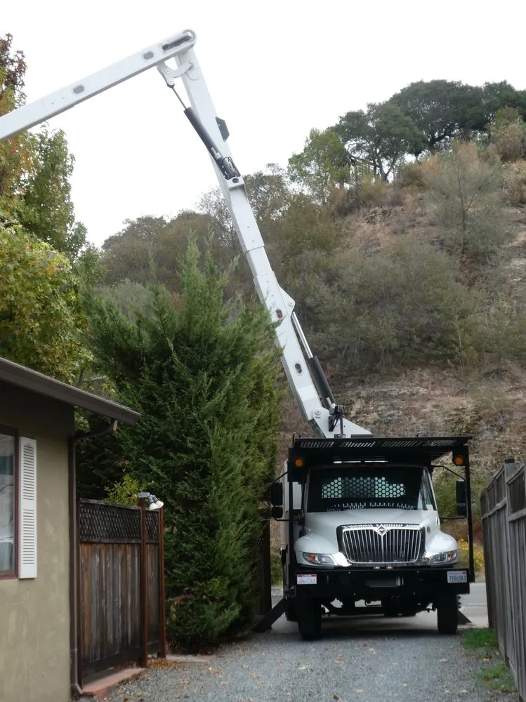 Local landscape design experts serving San Rafael, CA - Marin Tree Service