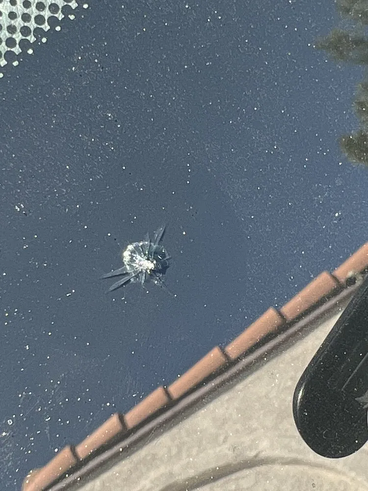 Local garden landscaping in Anaheim, CA by Marina Landscape