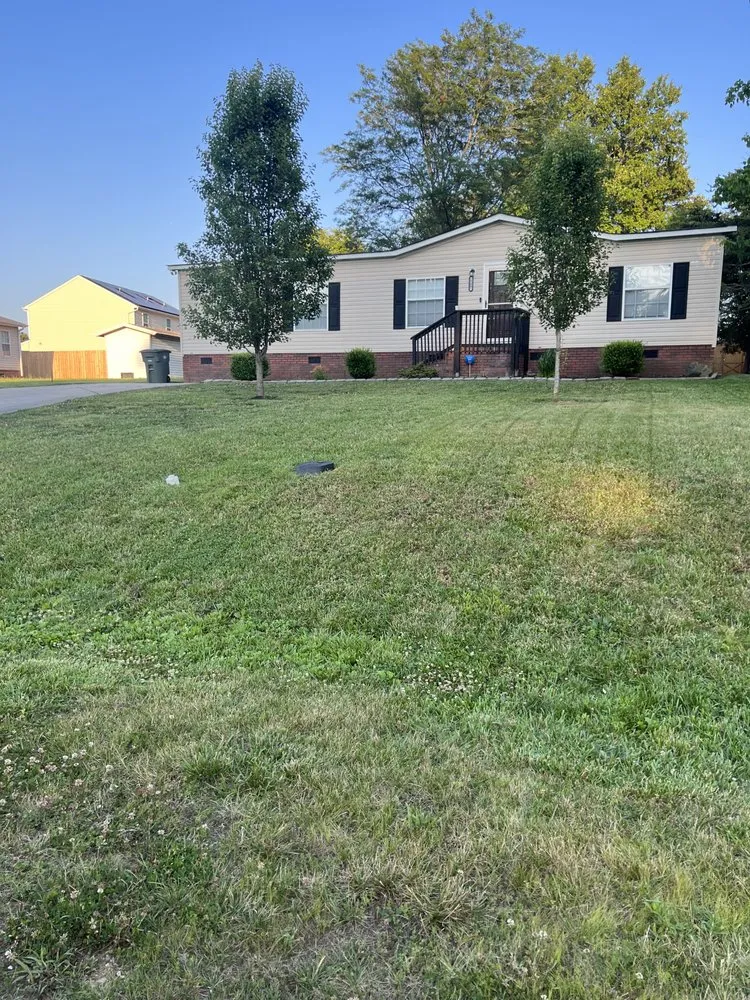 Reliable yard cleanup service in Salisbury, NC by Marina Lawn Care