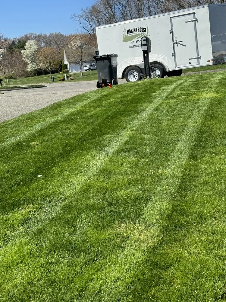 Professional yard maintenance experts serving Waterbury, CT - Marina Rosse Landscaping