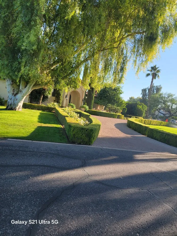 Expert yard maintenance in Scottsdale, AZ - Marina's Landscaping