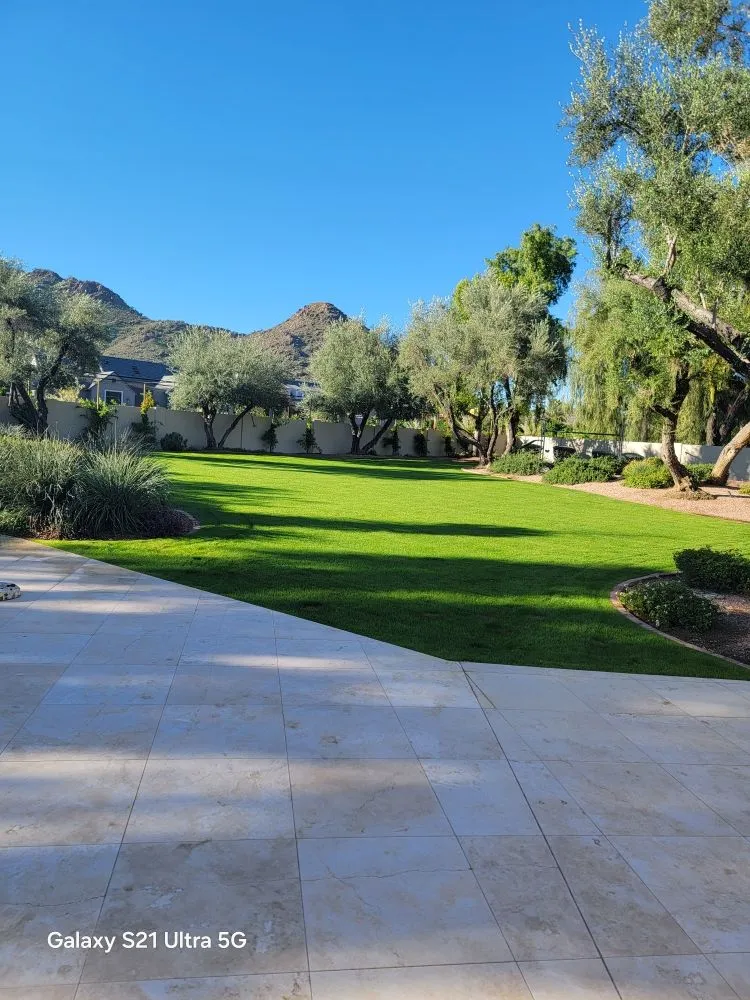 Reliable lawn care service in Scottsdale, AZ - Marina's Landscaping