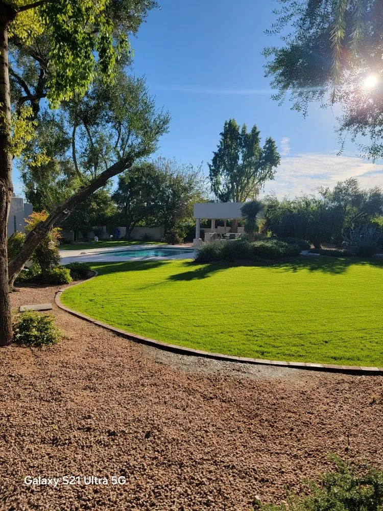 Top-rated landscape design experts serving Scottsdale, AZ - Marina's Landscaping