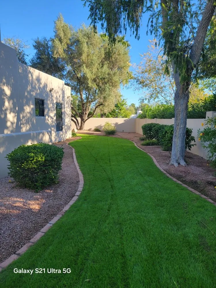 Professional yard cleanup service in Scottsdale, AZ - Marina's Landscaping