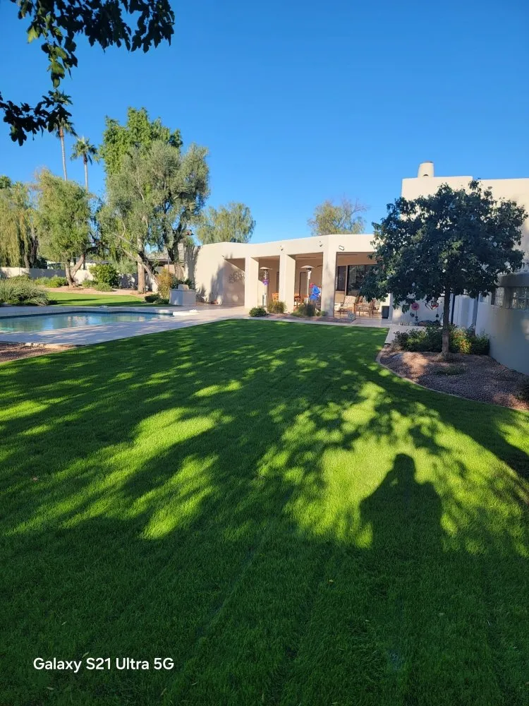 Expert lawn care service in Scottsdale, AZ by Marina's Landscaping