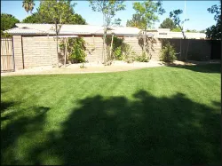 Custom lawn mowing service for beautiful yards in Coolidge, AZ by Marine Lawn Service