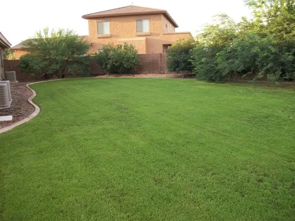 Expert landscape installation in Coolidge, AZ by Marine Lawn Service