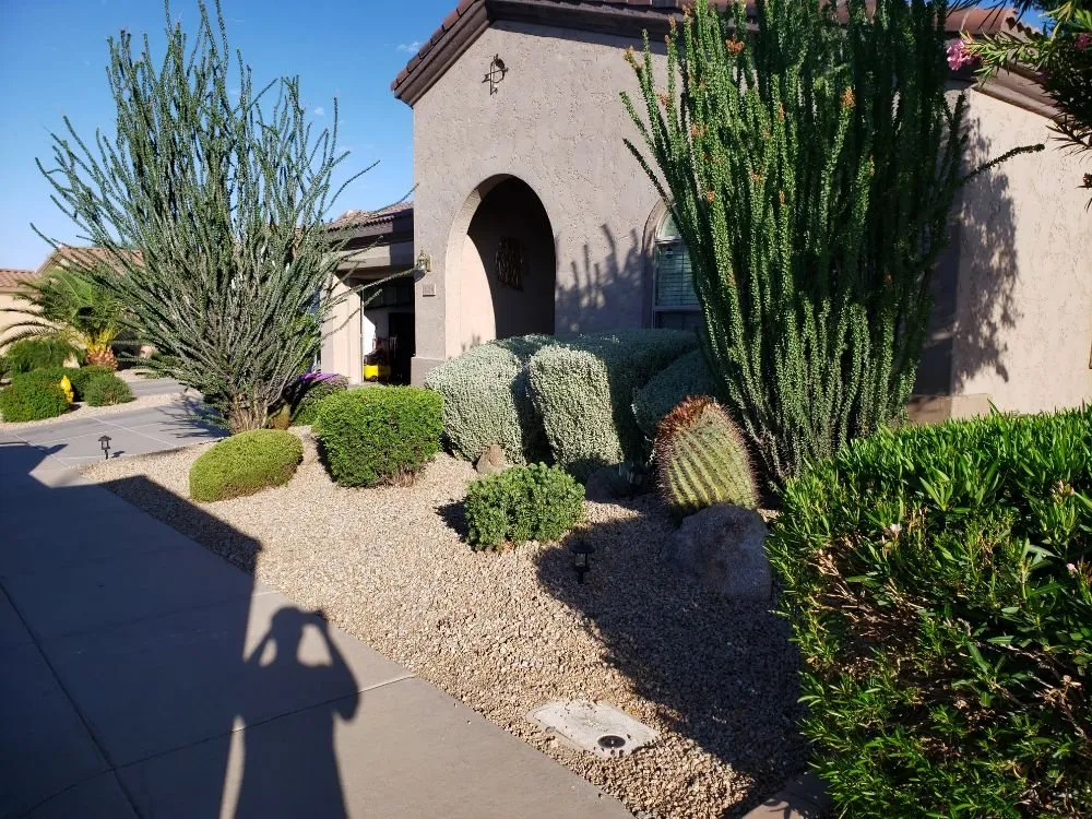 Reliable garden landscaping in Coolidge, AZ - Marine Lawn Service