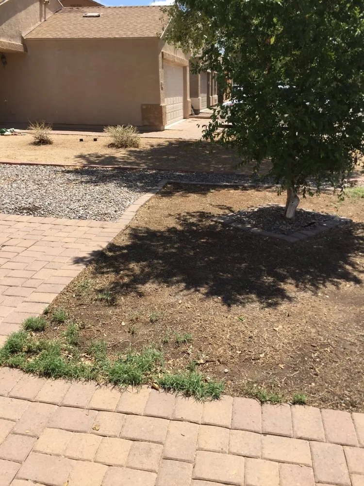 Affordable landscape installation in Coolidge, AZ by Marine Lawn Service