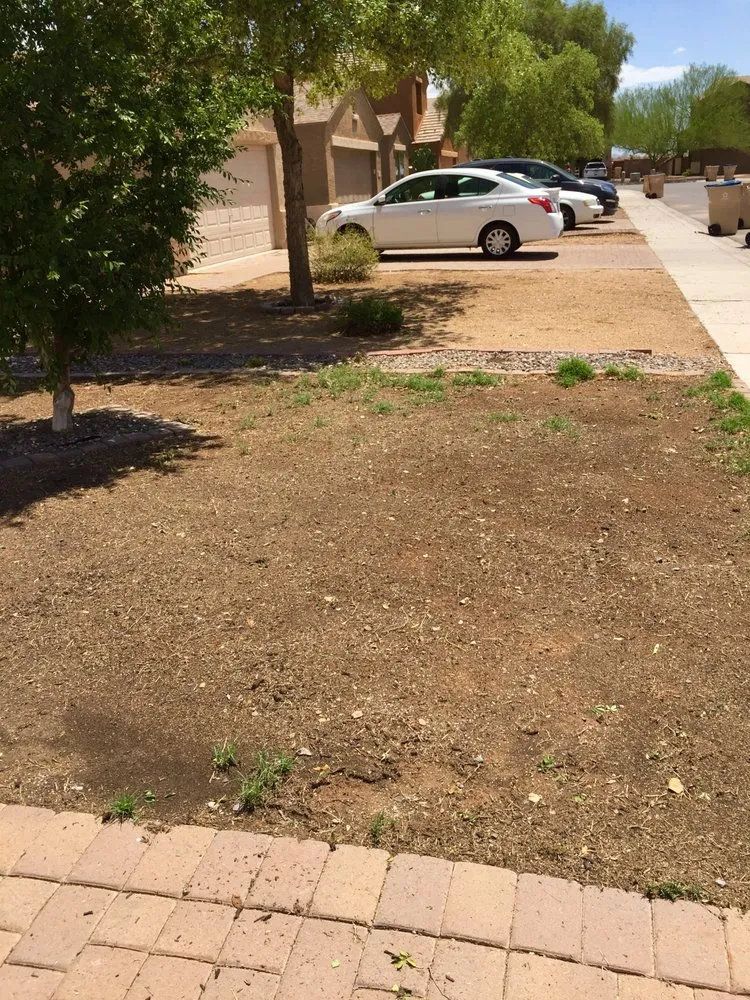 Professional landscaping services in Coolidge, AZ by Marine Lawn Service