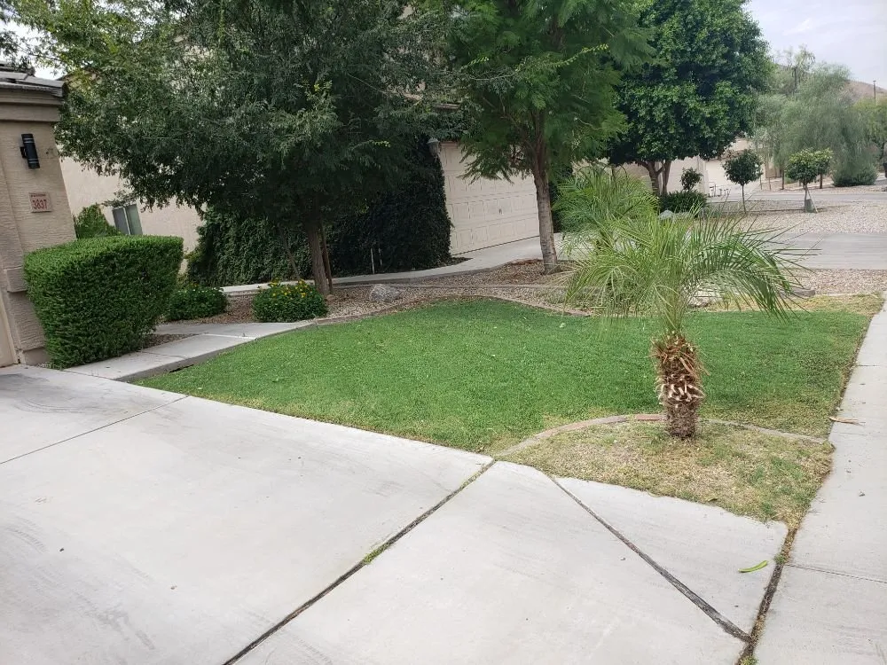 Trusted landscape design for outdoor upgrades in Coolidge, AZ by Marine Lawn Service